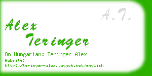 alex teringer business card